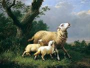 unknow artist Sheep 074 oil painting reproduction